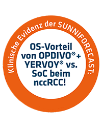 Anzeigenmotiv Sunniforecast_200x250