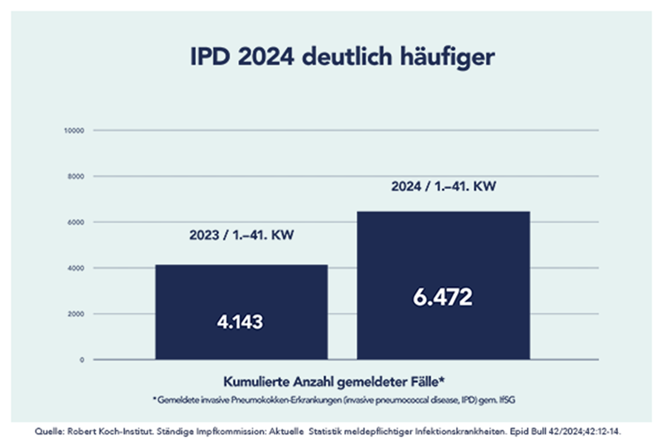 Bild1