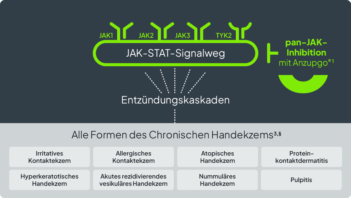 2_wirkmechanismus_1024x577px
