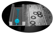 Ein Navigationssystem für Mikroschwimmer
