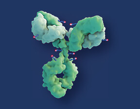Sacituzumab govitecan: First-in-Class bei mTNBC