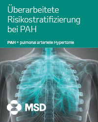 MSD_Banner_Booklet-Risiko_200x250px