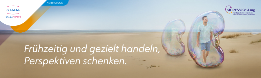 Header_Stada_Kinpeygo_OLE