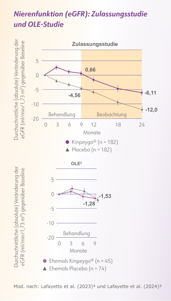 Grafik_Nierenfunktion_Erhsaltung