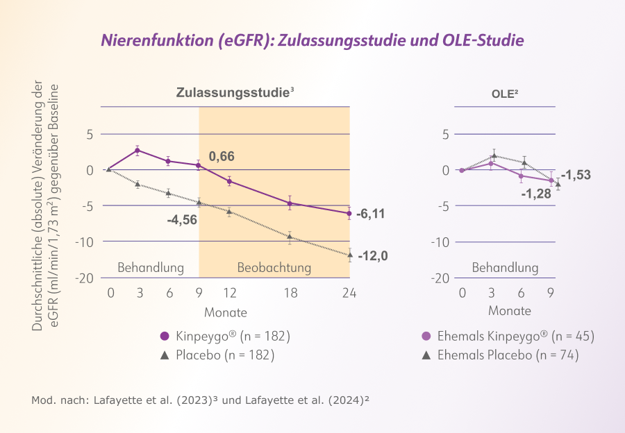 Grafik_Nierenfunktion_Erhsaltung