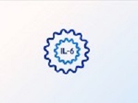 teaser-il-6-hub_BP_200