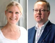 Vektorübertragene Erkrankungen bei der Katze