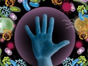 Wie Neutrophile ein Abwehrschild in der Haut bilden