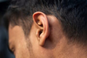 Ohrmuskel wird bei intensivem Zuhören aktiviert