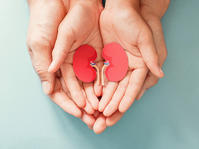 Teaser-Bild Lebendspende_1