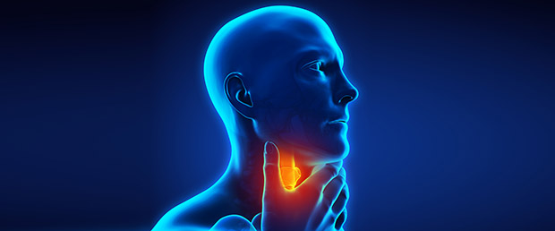 Foto: Thieme Case Cards