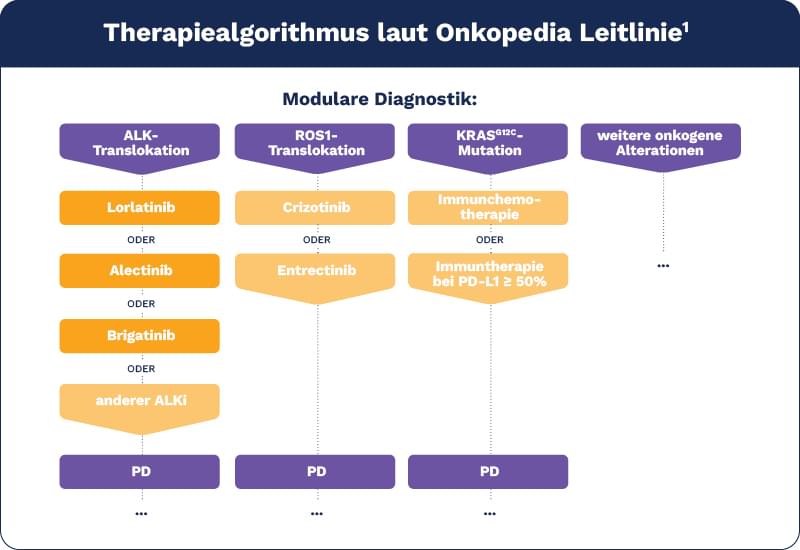 Therapiealgorithmus laut Onkopedia Leitlinie