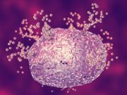 Mastzell-vermittelte Entzündungen: Präklinische Erfolge durch Rezeptor-Blockade