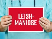 Leishmaniose: Therapieerfolg vorhersagen und belastende Behandlungen vermeiden