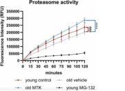 Altersbedingte Augenerkrankungen: MTK verbessert die Netzhautgesundheit alternder Mäuse