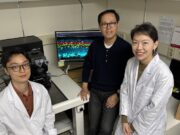 Netzhauterkrankungen: Therapie zur Wiederherstellung verlorener Sehkraft entwickelt