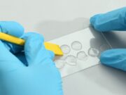 Grundlagenforschung mit künstlicher Haut aus Hydrogel