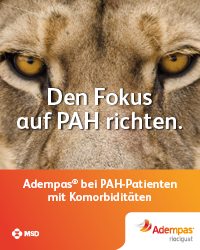 20241113_MSD_Banner_DE-ADE-00355_AK_Komorbiditaeten-b_200 x 250