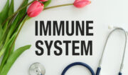 UKE: Neuer Sonderforschungsbereich zum mütterlichen Immunsystem bewilligt