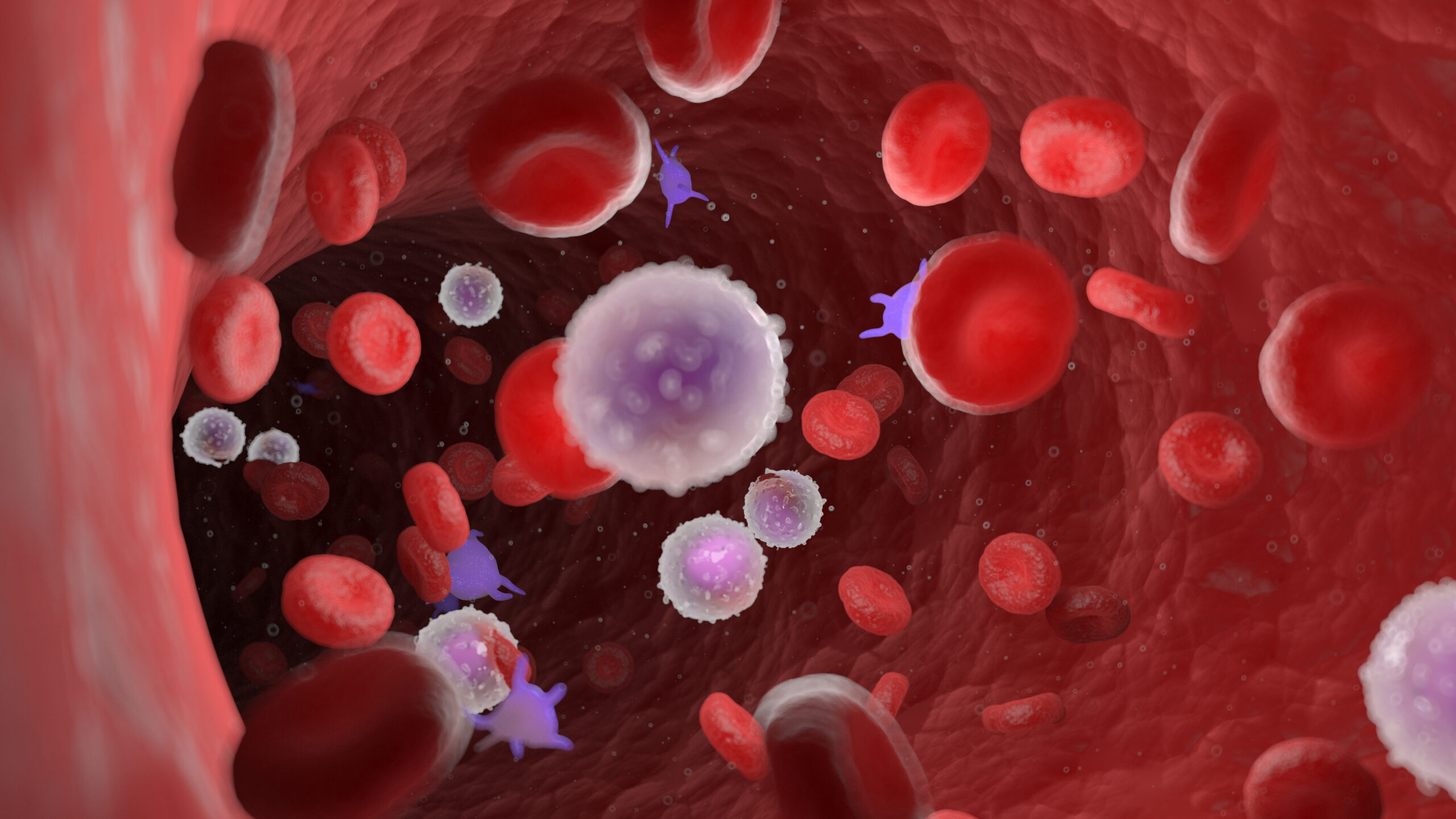 Wie Altern das Blutsystem von Menschen und Mäusen verändert