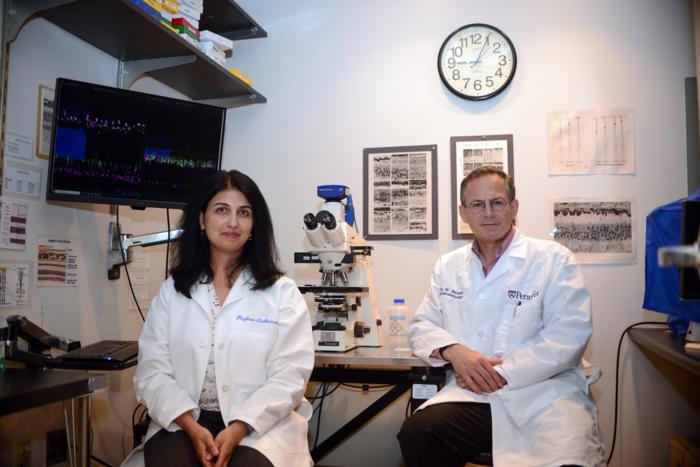 Netzhautdegenerationen: Neue Instrumente zur Behandlung in fortgeschrittenen Krankheitsstadien