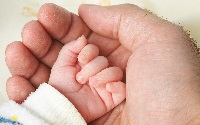 Baby hand in father's palm