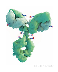 molekuel_200x250_neu (1)