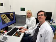 Universität Greifswald: Neue Methode verbessert Nierendiagnostik