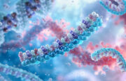 ERC Advanced Grant zur Erforschung der Rolle von mikroRNAs bei Atherosklerose