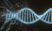ctDNA beim resezierten Melanom im Stadium III: Digitale Droplet-PCR-Assays können gefährdete Patienten identifizieren