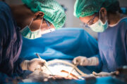 Organtransplantation: Neue Strategien zur Verringerung des Risikos einer Abstoßung entwickelt
