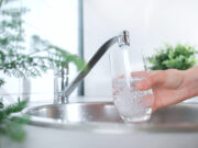 Nitrat im Trinkwasser kann zu Frühgeburten führen