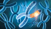 Effizienteres Screening auf Träger des fragilen X-Syndroms