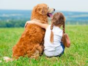 Hunde könnten ein genetisch bedingtes Ekzemrisiko reduzieren