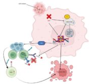 Orales Plattenepithelkarzinom – Die Epigenetik im Visier
