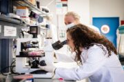 TUM-Ausgründung: Ein therapeutisches Virus gegen Krebs
