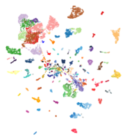 Tumordiagnostik: KI-Modell erkennt mehr als 170 Krebsarten
