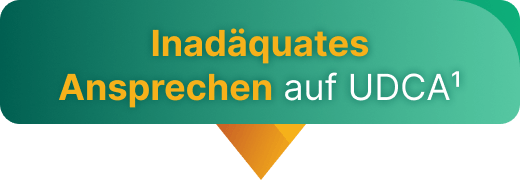 Inadäquates Ansprechen auf UDCA