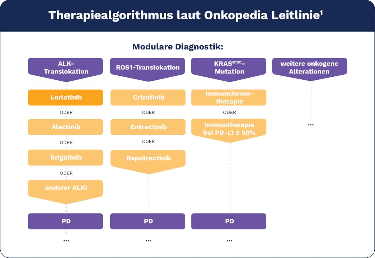 Therapiealgorithmus laut Onkopedia Leitlinie