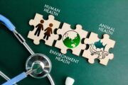 One Health als Schlüssel für die Zukunft: Lancet-Kommission fordert globalen Kurswechsel
