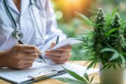 Strengere Regeln für Medizinalcannabis geplant