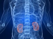 Minderung von Fibrose bei CKD: Neu entdeckter Zelltyp spricht auf Ionenkanalblockade an