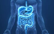 Gastrointestinale Krebserkrankungen: Große Datenauswertung zeigt Zusammenhang mit Autoimmunerkrankungen