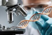 Multiple Sklerose: HLA-Gewebetyp ermöglicht personalisierte Therapieentscheidung