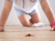 Gezielte T-Zell-Aktivierung durch spezifische Allergenproteine bei Immuntherapie