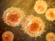 Forschende identifizieren Protein, das die Richtung von Melanomzellen steuert&nbsp;