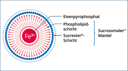 Biermann_728x90 (1)