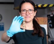 Materialwissenschaft trifft Medizin: Warum Implantate versagen