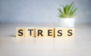 Amygdala-Leber-Achse möglicher Link zwischen Stress und Diabetes