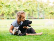 Aktualisierte Empfehlung zur Helminthen-Bekämpfung bei Hunden und Katzen